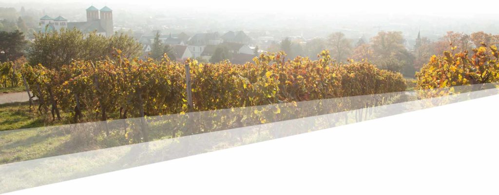 Pack Innova Verpackungshersteller in Heppenheim