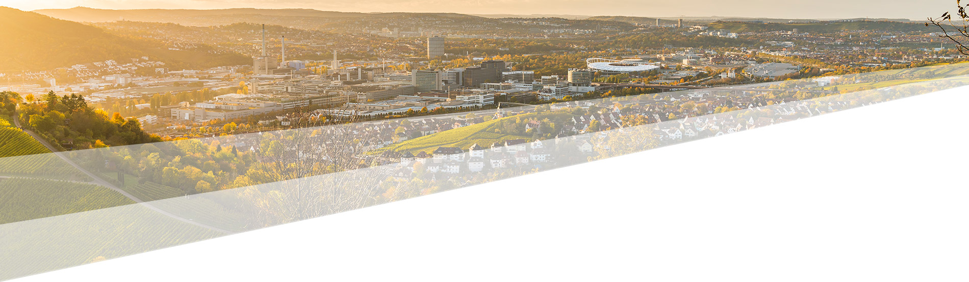 Verpackungshersteller für Baden-Württemberg – Pack Innova GmbH
