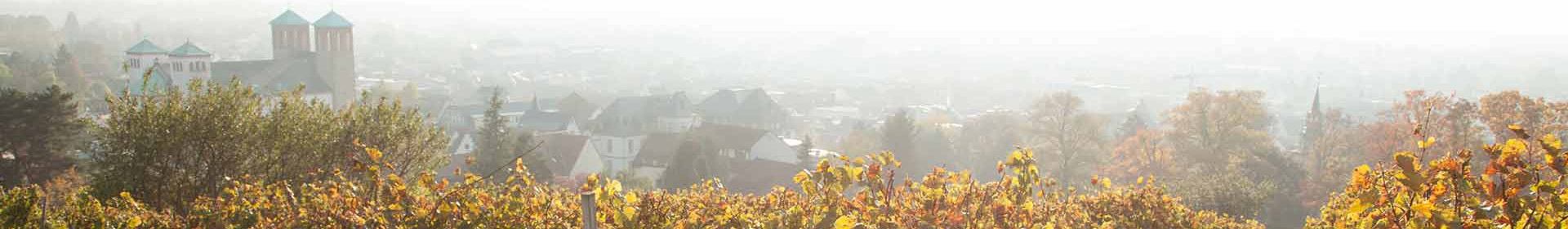 Heppenheim an der Bergstraße, Standort von Pack Innova
